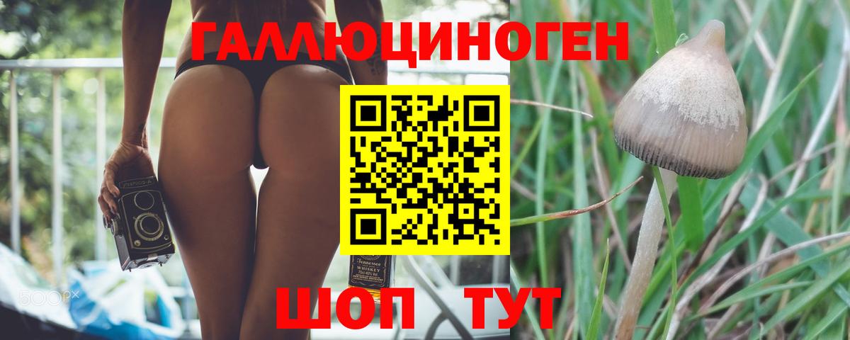 Печора  Галлюциногенные грибы Psilocybine cubensis  Вход с VPN 